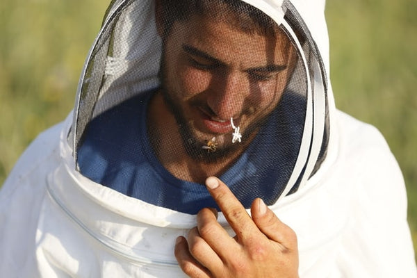 DETAILS YOU NEED TO KNOW BEFORE STARTING BEEKEEPING