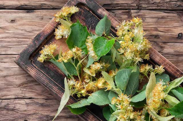 WHAT IS LINDEN AND HOW IS IT CONSUMED?